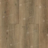 Дуб Эниф ABA ECO 7-31