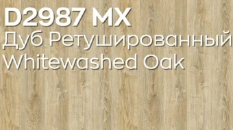 2987 Дуб Ретушированный