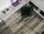 1004-1301 Foresta