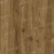 LF301-18 Дуб Корсика