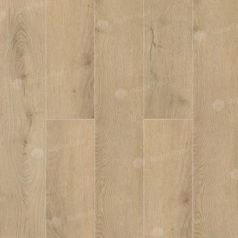 Дуб Фелис ABA ECO 7-25
