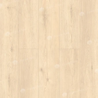 ГРАНД СЕКВОЙЯ АДЕНДРОН ECO 11-23
