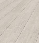 K031 Дуб Атлас