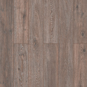 59837 Дуб Сурат 