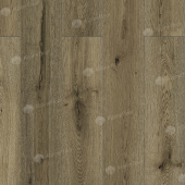 LF101-22 Дуб Эмполи