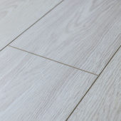 Дуб светлый