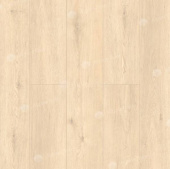 ГРАНД СЕКВОЙЯ АДЕНДРОН ECO 11-23