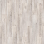 Дуб Светлый