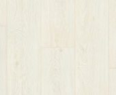 BLA003 Дуб северный