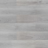 2201 Дуб снежный