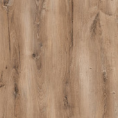 Дуб Берлин SF60