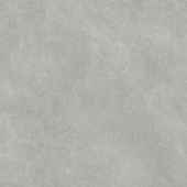 D50657 FS Серебряный Кварцит