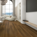 Элигна широкая / ELIGNA WIDE AC5 8/33 V4