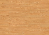 Дуб Катания FSC 56601