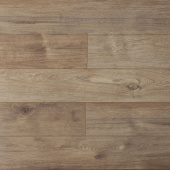 16146 Дуб Фигуардо