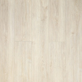  161111 Дуб Гольбейн