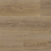 NC83 Дуб Эсквайр