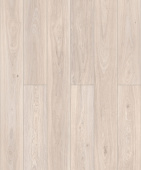 50857 Дуб Шеппард