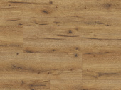 62502 Дуб Канберра FSC
