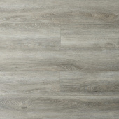 16182 Дуб Вильдхаус