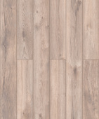 D40447 Дуб Мальва