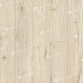 LF100-02 Дуб Салерно