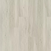  OSPC20260 Дуб Облачный