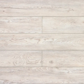 Дуб Каменный