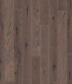 Дуб Элефант