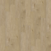 6241 Дуб Веларус дымчатый