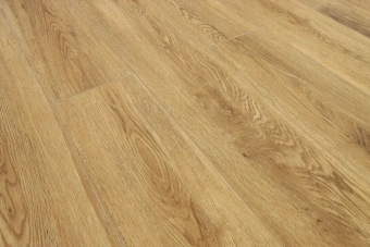 Дуб Скальный