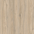 IMU 8467 Дуб Кедровый  IMU 8467 Дуб Кедровый