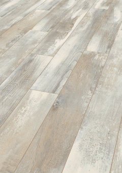  D4754 Дуб Хелла