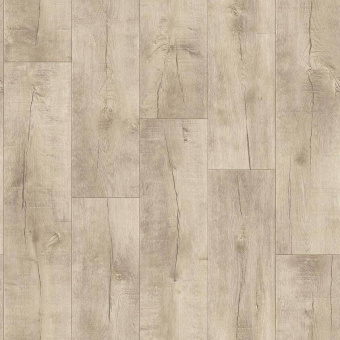 IDYLLE NOVA - Saratoga 5