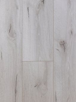 4100 Дуб Малави