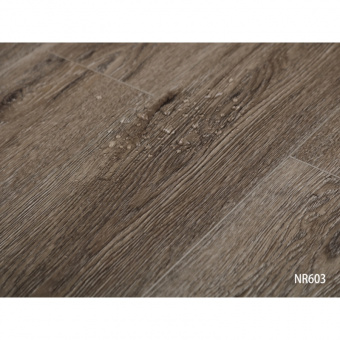 NR603 Дуб Гамвик