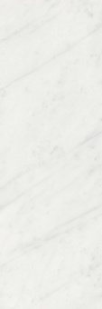 Борсари Плитка настенная белый обрезной 12103R 25х75