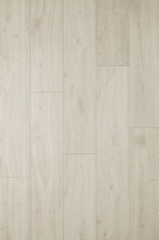 CXP142 Дуб Норвежский