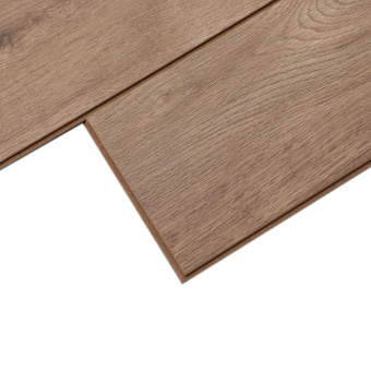 16146 Дуб Фигуардо