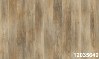 PRK921 Kаледония 