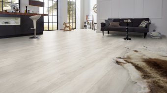 4984 ДУБ ВОСТОЧНЫЙ БЕЛЫЙ