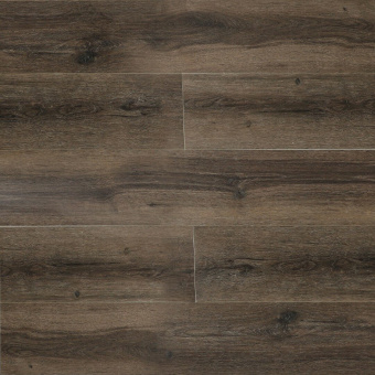 16161 Дуб Шеффилд