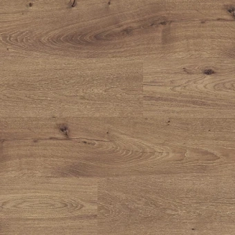 4112 Дуб Райли