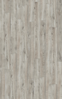 4797 Дуб горный серебристый