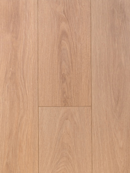 3010 Мирабель