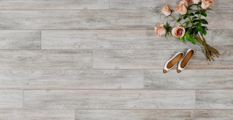 SF102 Дуб Тенерифе