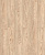 D51047 Дуб Сальва