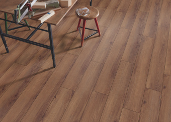 D80612 Дуб Норфолк кофе