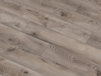 54752 Дуб Ашингтон