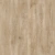 IDYLLE NOVA  MOTION 1; MOTION 2; MOTION 3